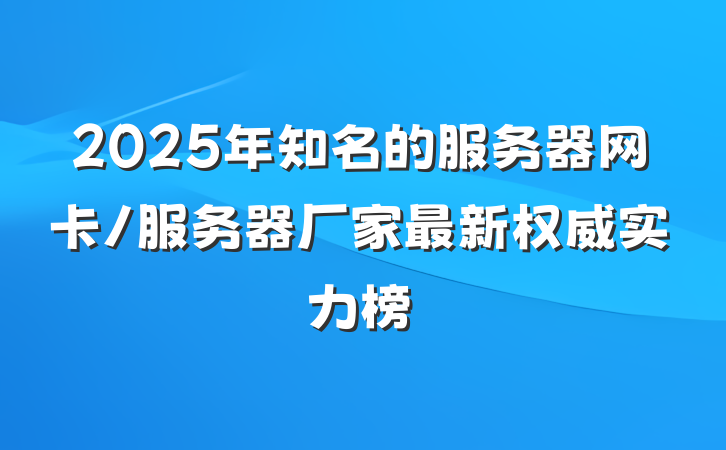 2025年知名的服务器网卡/服务器厂家最新权威实力榜