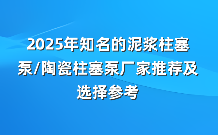 2025年知名的泥浆柱塞泵/陶瓷柱塞泵厂家推荐及选择参考