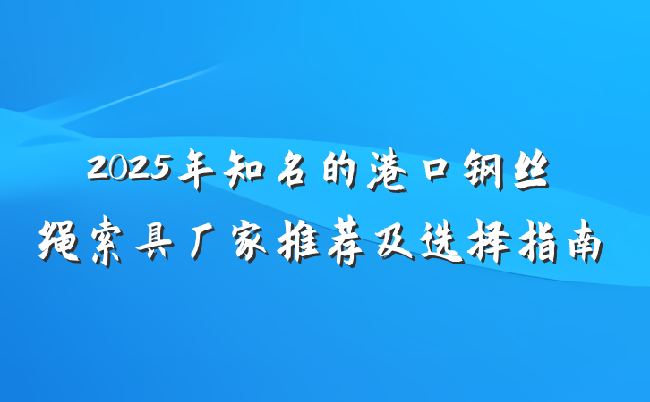2025年知名的港口钢丝绳索具厂家推荐及选择指南