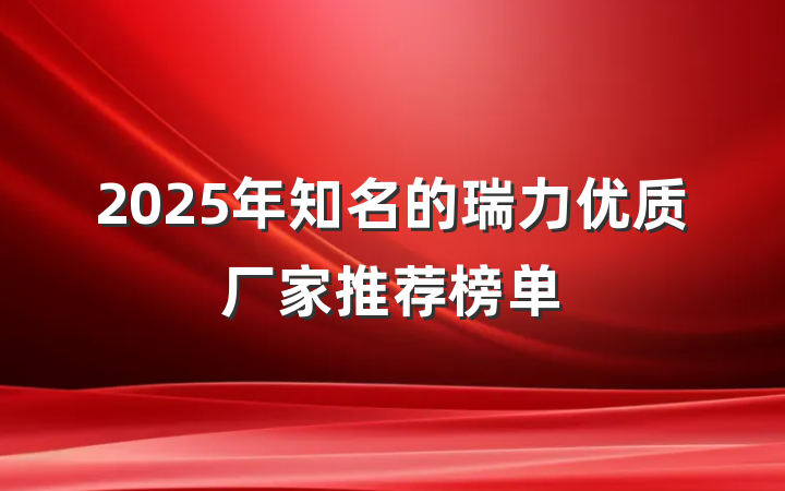 2025年知名的瑞力优质厂家推荐榜单