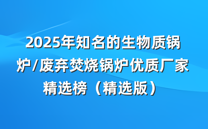 2025年知名的生物质锅炉/废弃焚烧锅炉优质厂家精选榜（精选版）