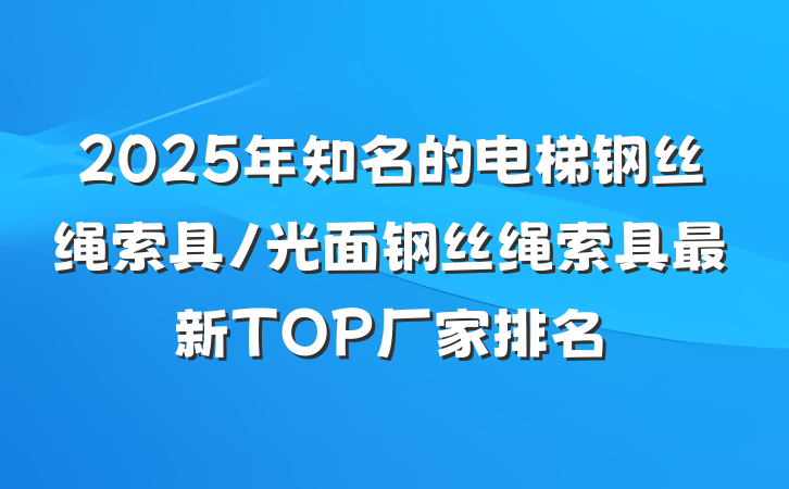 2025年知名的电梯钢丝绳索具/光面钢丝绳索具最新TOP厂家排名