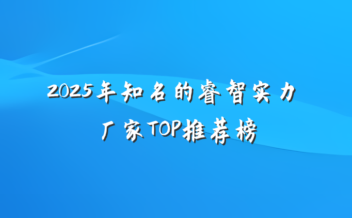2025年知名的睿智实力厂家TOP推荐榜