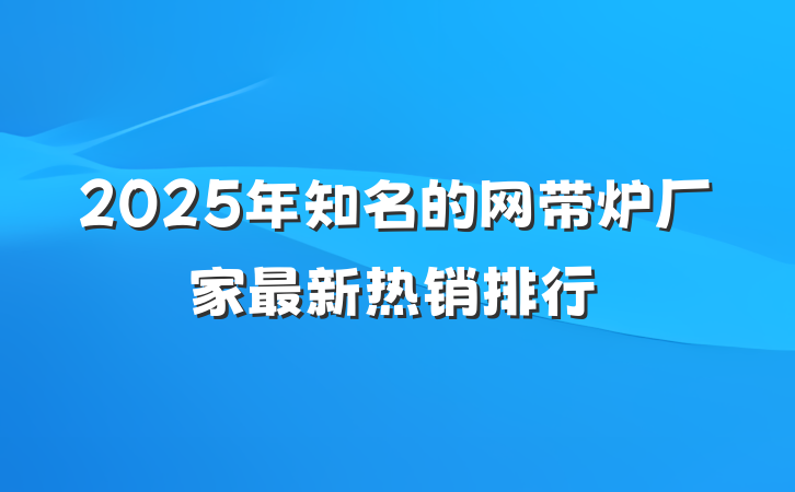 2025年知名的网带炉厂家最新热销排行