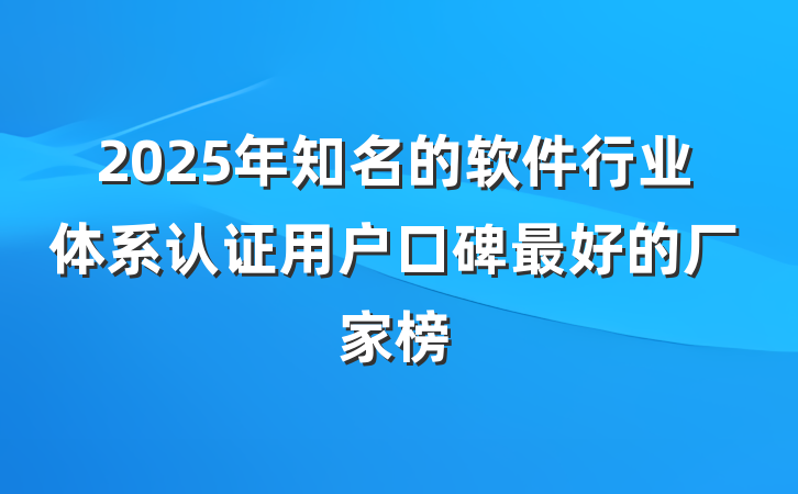 2025年知名的软件行业体系认证用户口碑最好的厂家榜