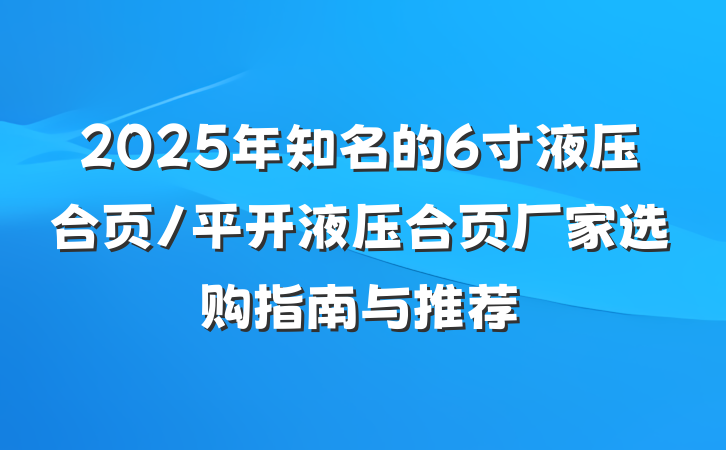 2025年知名的6寸液压合页/平开液压合页厂家选购指南与推荐