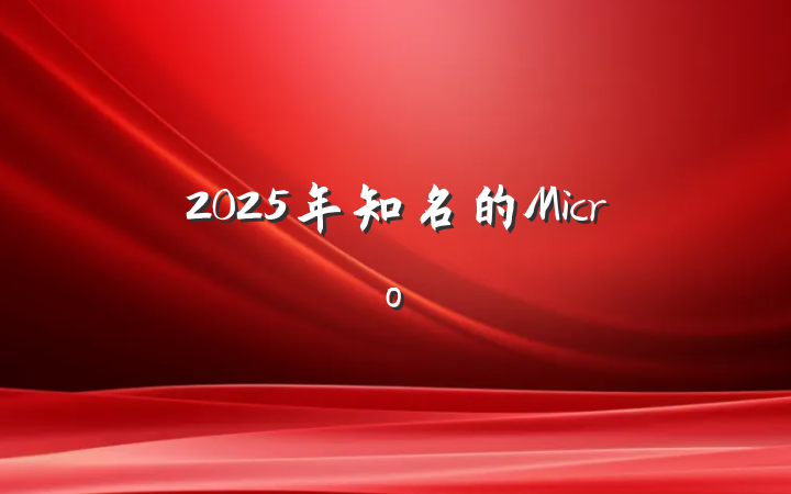 2025年知名的Micro