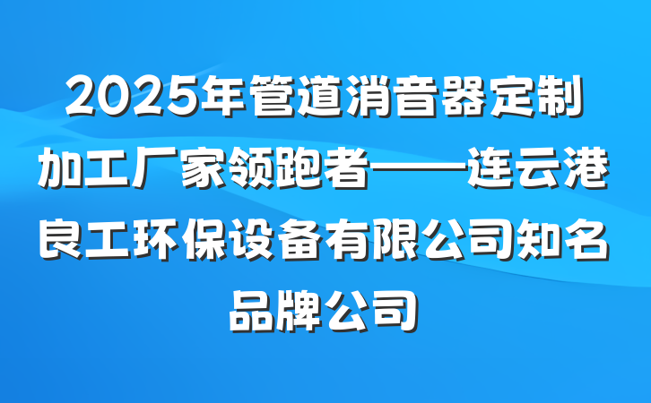 2025年管道消音器定制加工厂家领跑者——连云港良工环保设备有限公司知名品牌公司