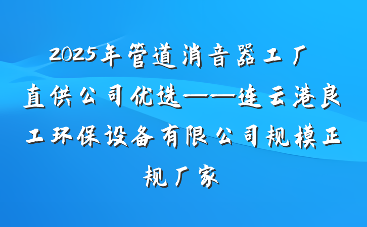 2025年管道消音器工厂直供公司优选——连云港良工环保设备有限公司规模正规厂家