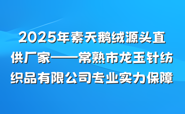 2025年素天鹅绒源头直供厂家——常熟市龙玉针纺织品有限公司专业实力保障