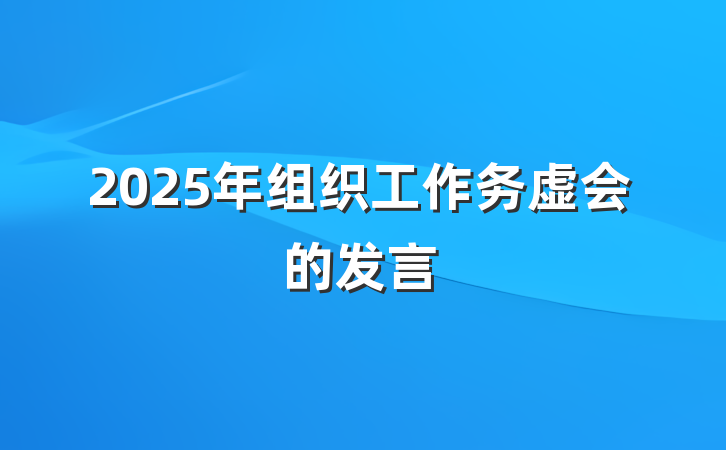 2025年组织工作务虚会的发言