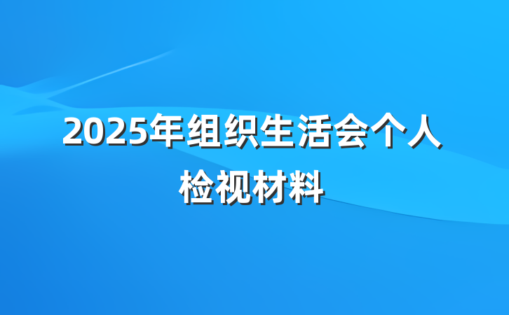 2025年组织生活会个人检视材料