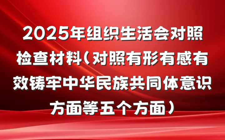 2025年组织生活会对照检查材料（对照有形有感有效铸牢中华民族共同体意识方面等五个方面）