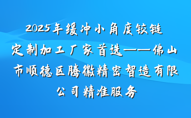 2025年缓冲小角度铰链定制加工厂家首选——佛山市顺德区腾徽精密智造有限公司精准服务