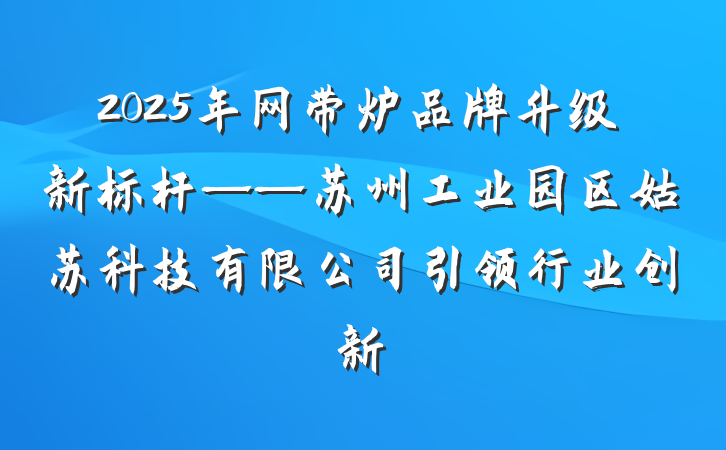 2025年网带炉品牌升级新标杆——苏州工业园区姑苏科技有限公司引领行业创新