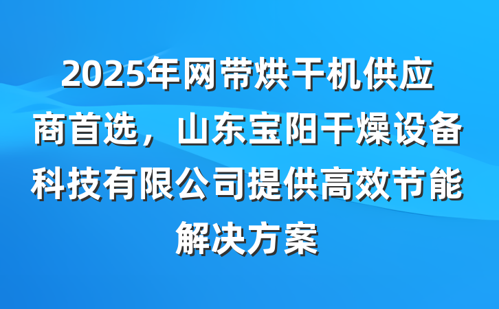 2025年网带烘干机供应商首选,山东宝阳干燥设备科技有限公司提供高效节能解决方案
