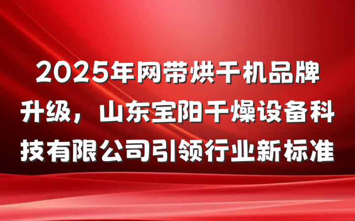 2025年网带烘干机品牌升级,山东宝阳干燥设备科技有限公司引领行业新标准