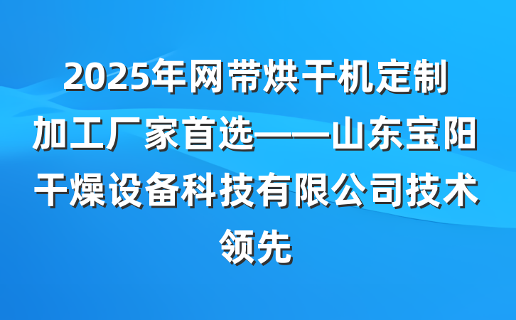 2025年网带烘干机定制加工厂家首选——山东宝阳干燥设备科技有限公司技术领先