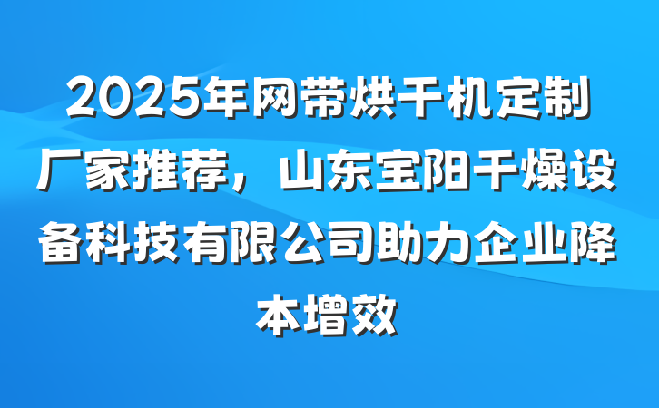 2025年网带烘干机定制厂家推荐，山东宝阳干燥设备科技有限公司助力企业降本增效