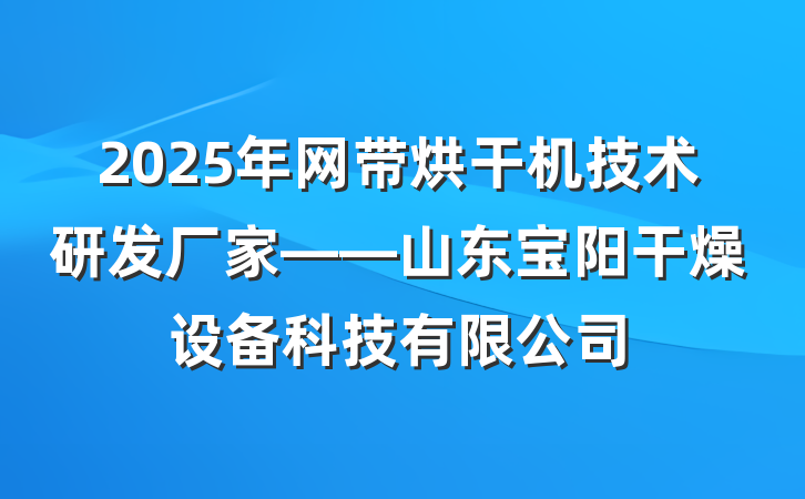 2025年网带烘干机技术研发厂家——山东宝阳干燥设备科技有限公司