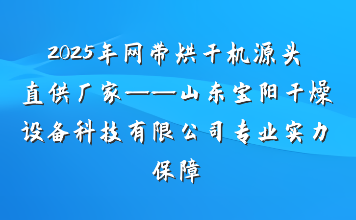 2025年网带烘干机源头直供厂家——山东宝阳干燥设备科技有限公司专业实力保障