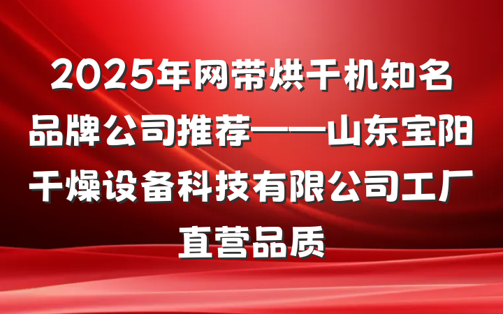 2025年网带烘干机知名品牌公司推荐——山东宝阳干燥设备科技有限公司工厂直营品质