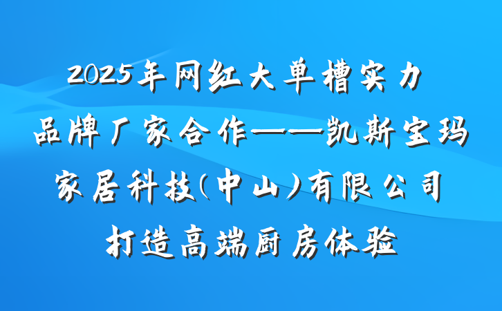 2025年网红大单槽实力品牌厂家合作——凯斯宝玛家居科技(中山)有限公司打造高端厨房体验