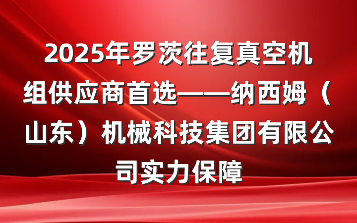 2025年罗茨往复真空机组供应商首选——纳西姆（山东）机械科技集团有限公司实力保障