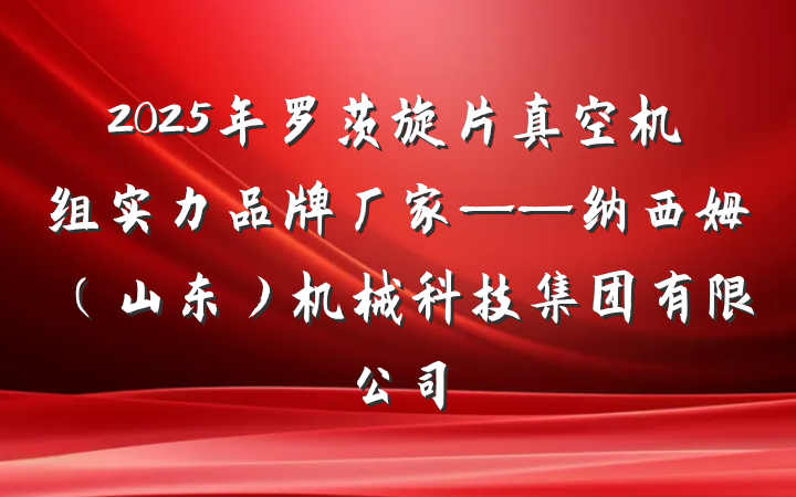2025年罗茨旋片真空机组实力品牌厂家——纳西姆（山东）机械科技集团有限公司