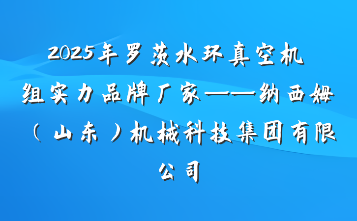 2025年罗茨水环真空机组实力品牌厂家——纳西姆（山东）机械科技集团有限公司