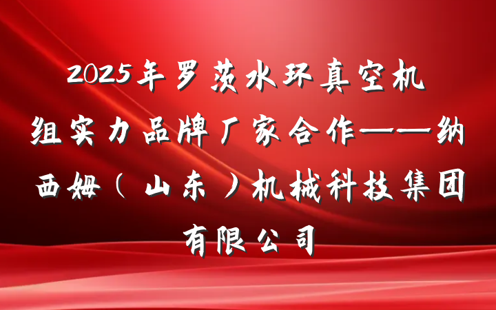 2025年罗茨水环真空机组实力品牌厂家合作——纳西姆(山东)机械科技集团有限公司