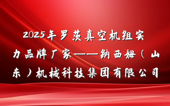 2025年罗茨真空机组实力品牌厂家——纳西姆(山东)机械科技集团有限公司