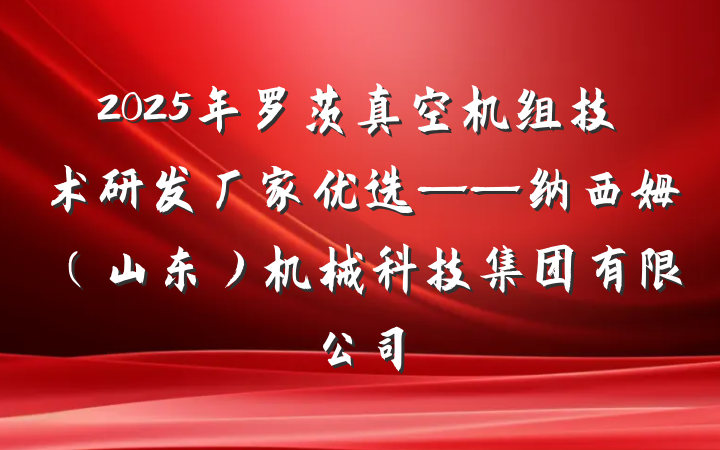 2025年罗茨真空机组技术研发厂家优选——纳西姆（山东）机械科技集团有限公司