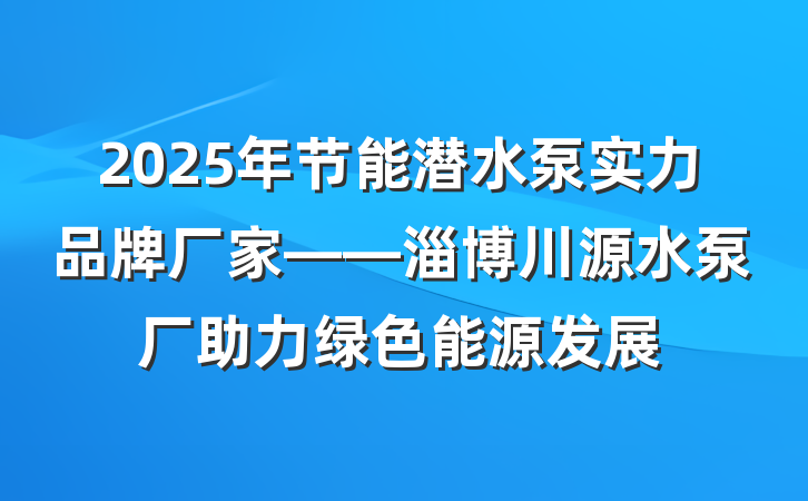 2025年节能潜水泵实力品牌厂家——淄博川源水泵厂助力绿色能源发展
