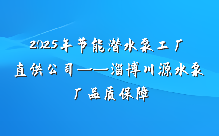 2025年节能潜水泵工厂直供公司——淄博川源水泵厂品质保障