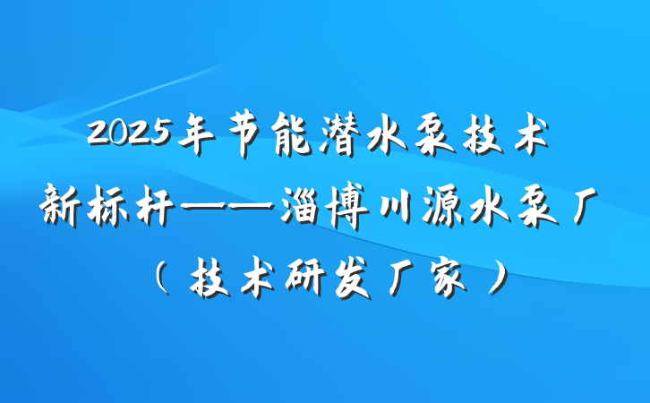 2025年节能潜水泵技术新标杆——淄博川源水泵厂（技术研发厂家）