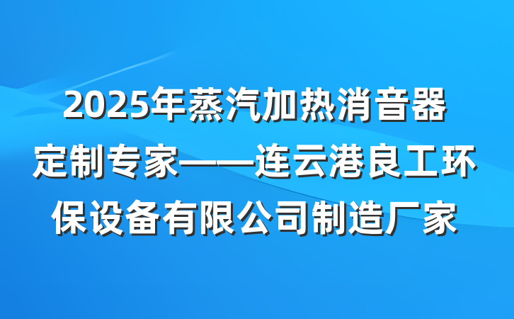 2025年蒸汽加热消音器定制专家——连云港良工环保设备有限公司制造厂家