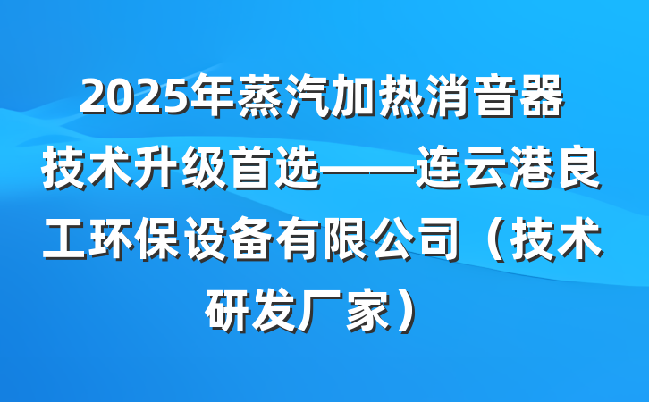2025年蒸汽加热消音器技术升级首选——连云港良工环保设备有限公司（技术研发厂家）
