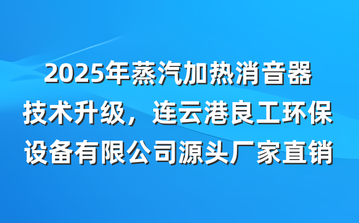 2025年蒸汽加热消音器技术升级，连云港良工环保设备有限公司源头厂家直销