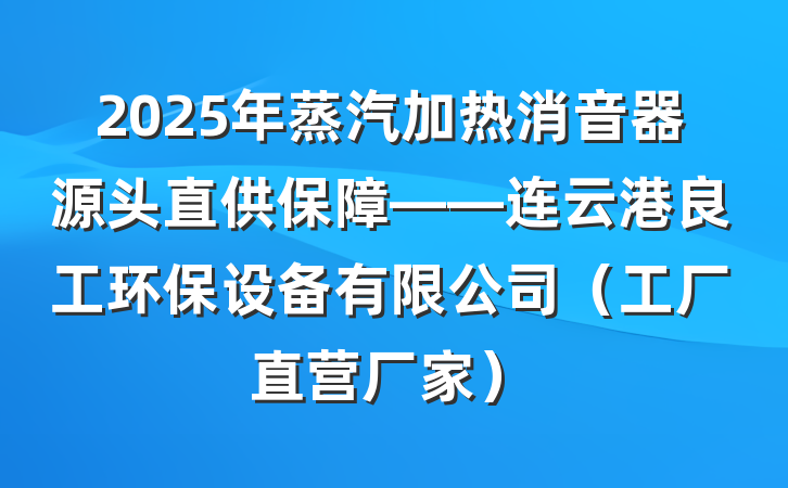 2025年蒸汽加热消音器源头直供保障——连云港良工环保设备有限公司（工厂直营厂家）