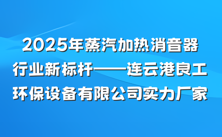 2025年蒸汽加热消音器行业新标杆——连云港良工环保设备有限公司实力厂家