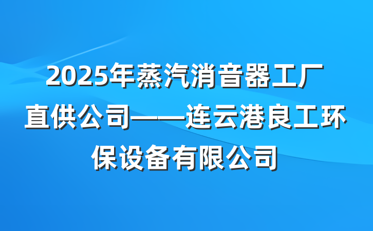 2025年蒸汽消音器工厂直供公司——连云港良工环保设备有限公司
