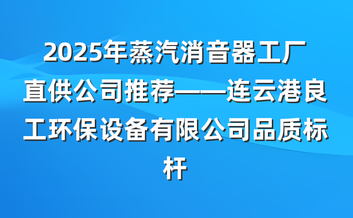 2025年蒸汽消音器工厂直供公司推荐——连云港良工环保设备有限公司品质标杆