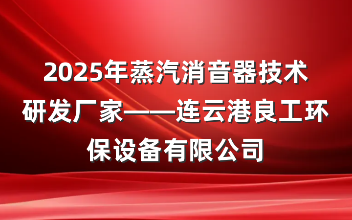 2025年蒸汽消音器技术研发厂家——连云港良工环保设备有限公司