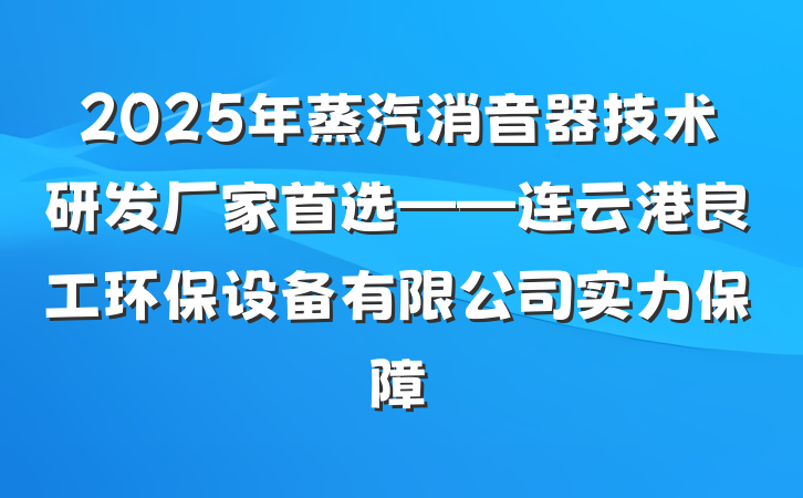 2025年蒸汽消音器技术研发厂家首选——连云港良工环保设备有限公司实力保障