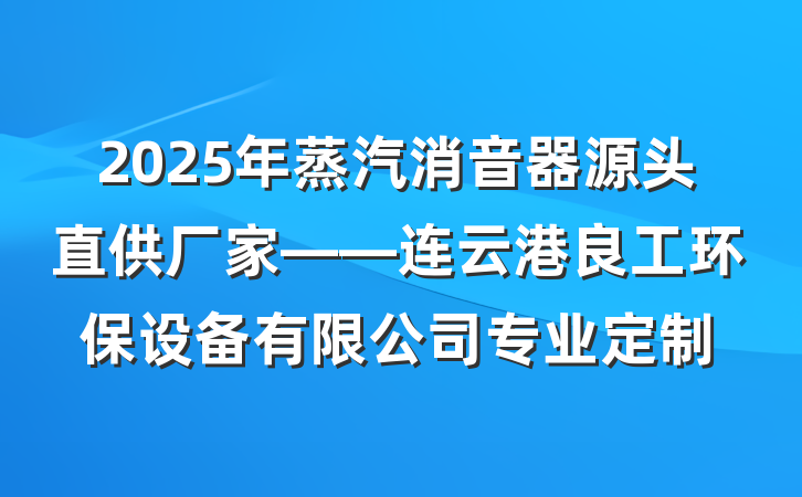 2025年蒸汽消音器源头直供厂家——连云港良工环保设备有限公司专业定制