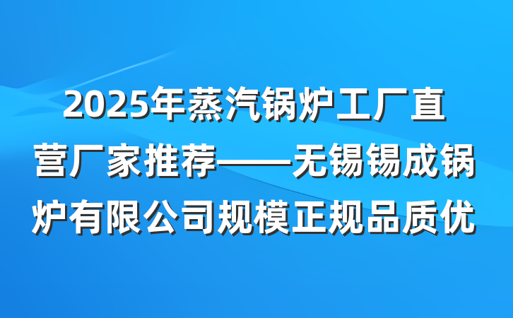 2025年蒸汽锅炉工厂直营厂家推荐——无锡锡成锅炉有限公司规模正规品质优