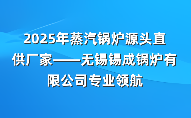 2025年蒸汽锅炉源头直供厂家——无锡锡成锅炉有限公司专业领航