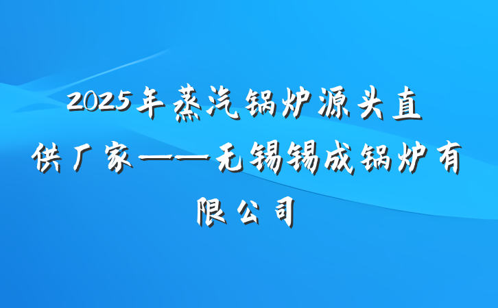 2025年蒸汽锅炉源头直供厂家——无锡锡成锅炉有限公司