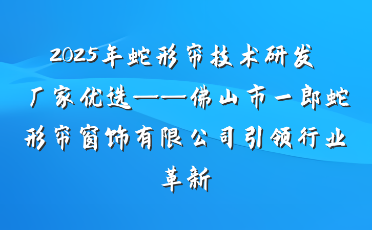 2025年蛇形帘技术研发厂家优选——佛山市一郎蛇形帘窗饰有限公司引领行业革新
